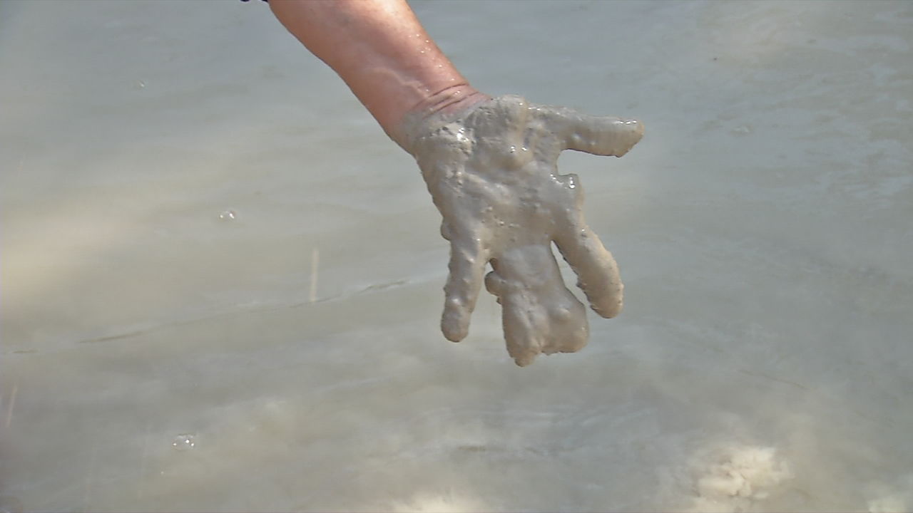 Sludge in Blue Lick Creek